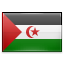 Country Flag of Western Sahara